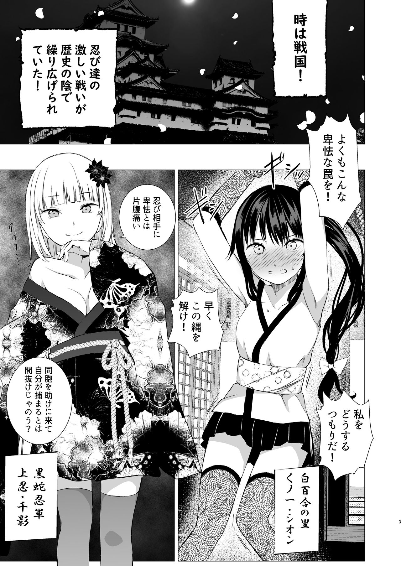 Download Oshinobi Shoujo no Asobikata