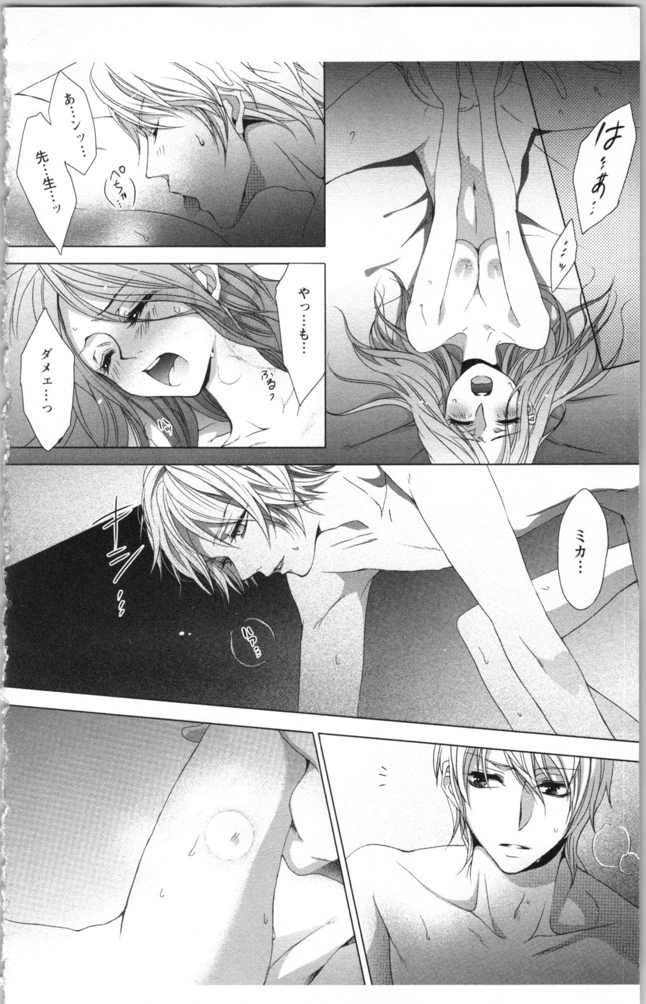 Download Hishoka Pet no Sodatekata 3