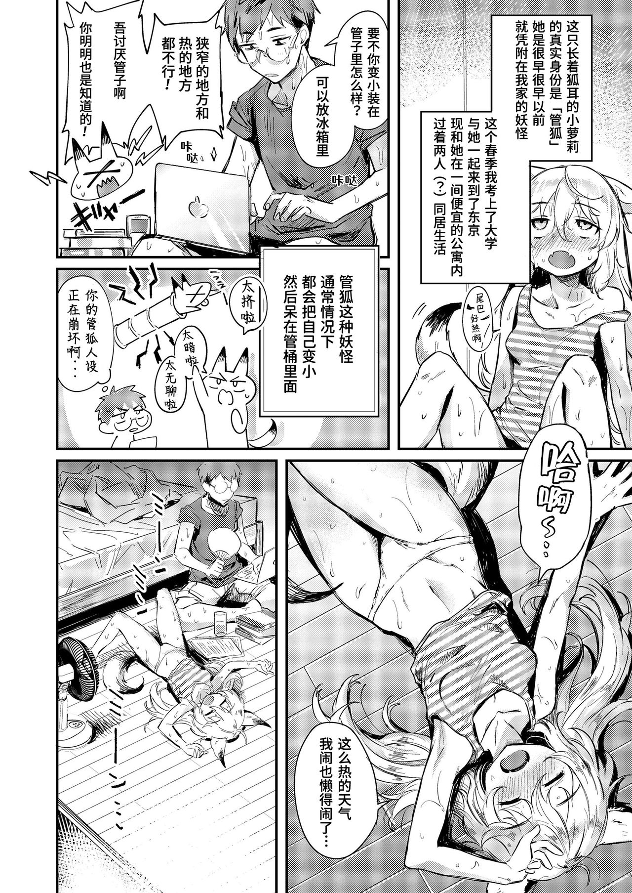 Download Hot Summer Fox Days | 酷热·夏季·狐狸·日常