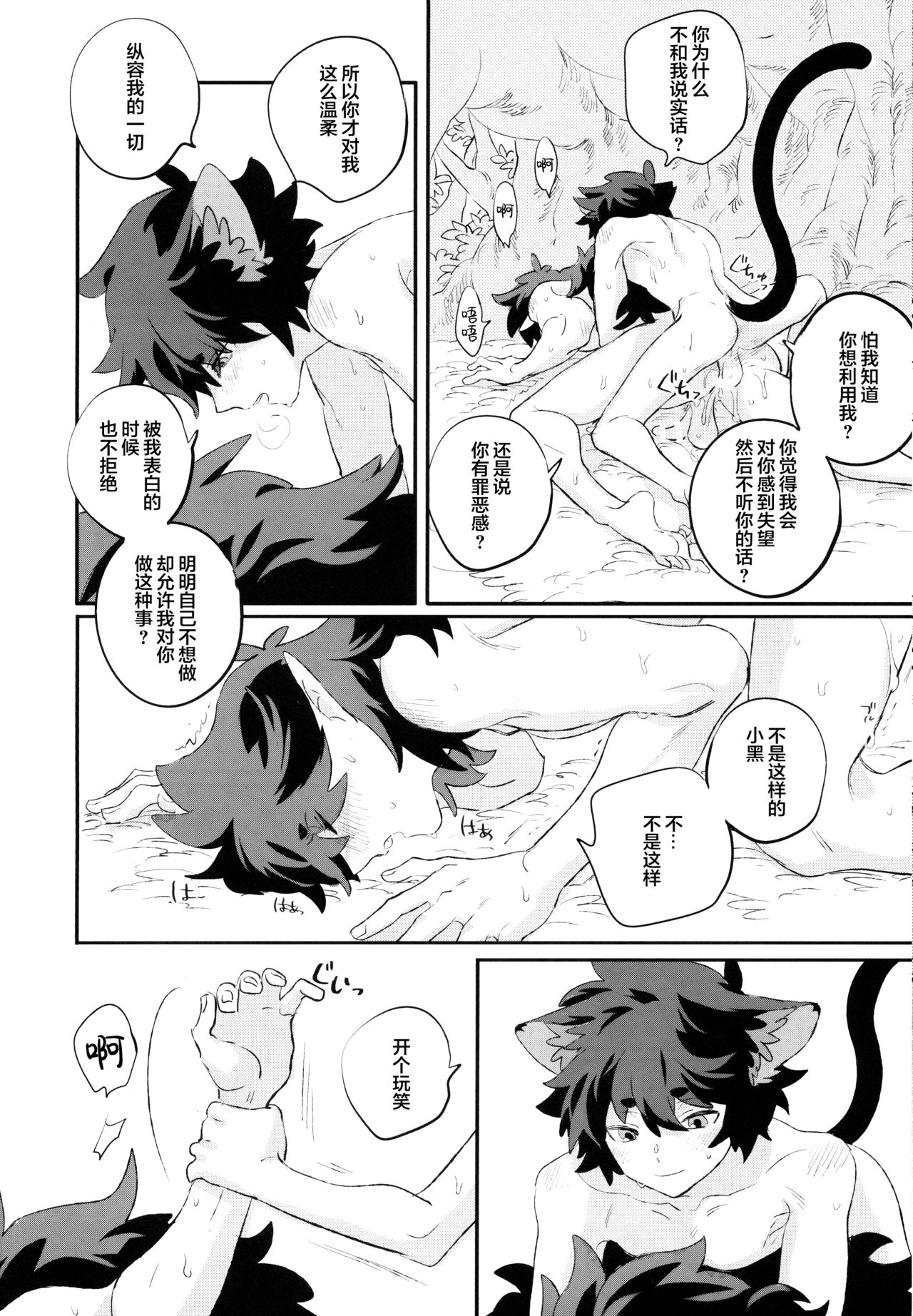 Download 神様の猫