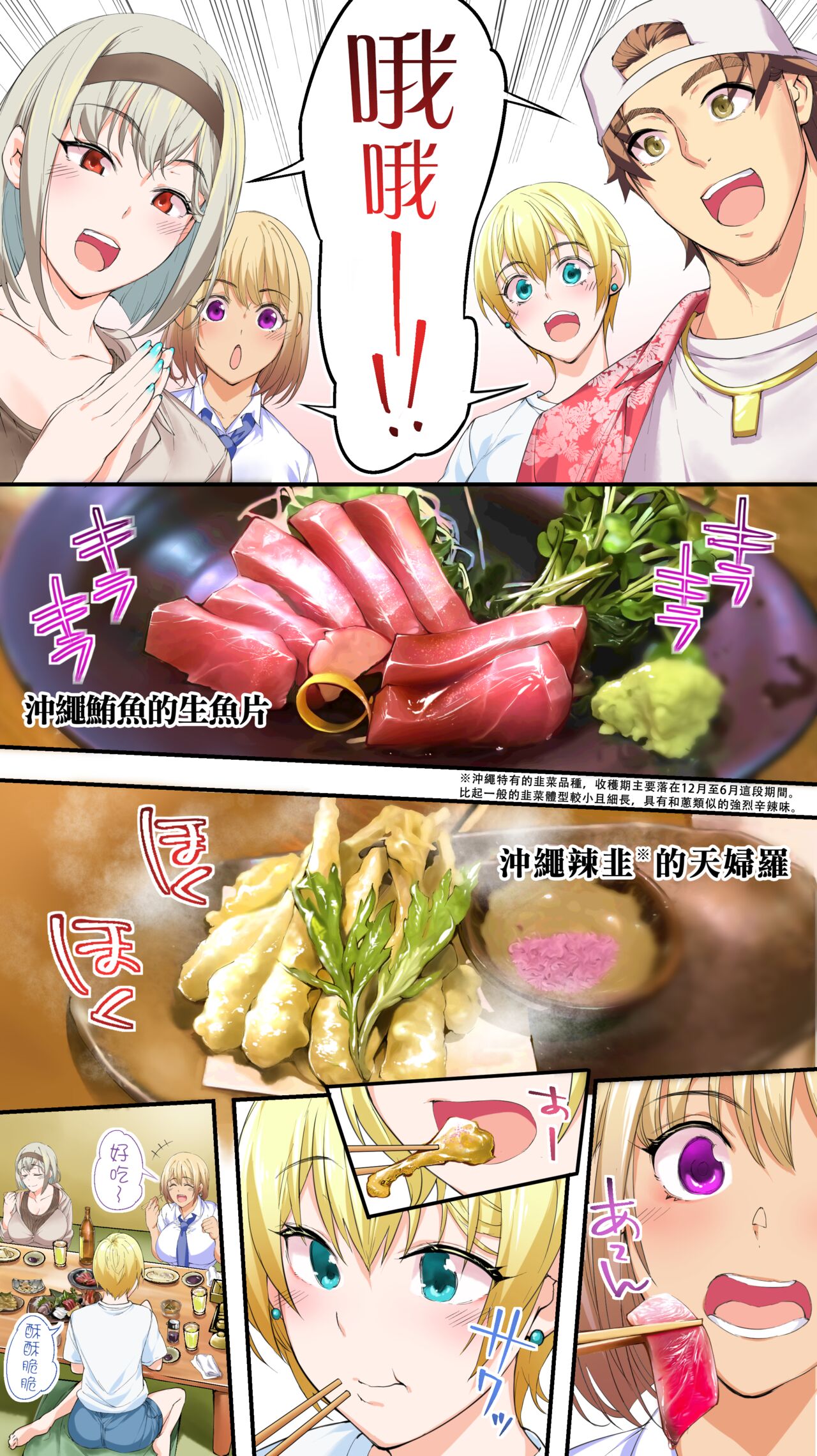 Download Panpan Travelers Okinawa Shuudan Rape Zumi Harem Hitoritabi Hen | 吃飯兼炒飯TRAVELERS 沖繩集團強姦