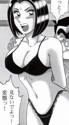 Download 早乙女組総集編２ 携帯サイズ