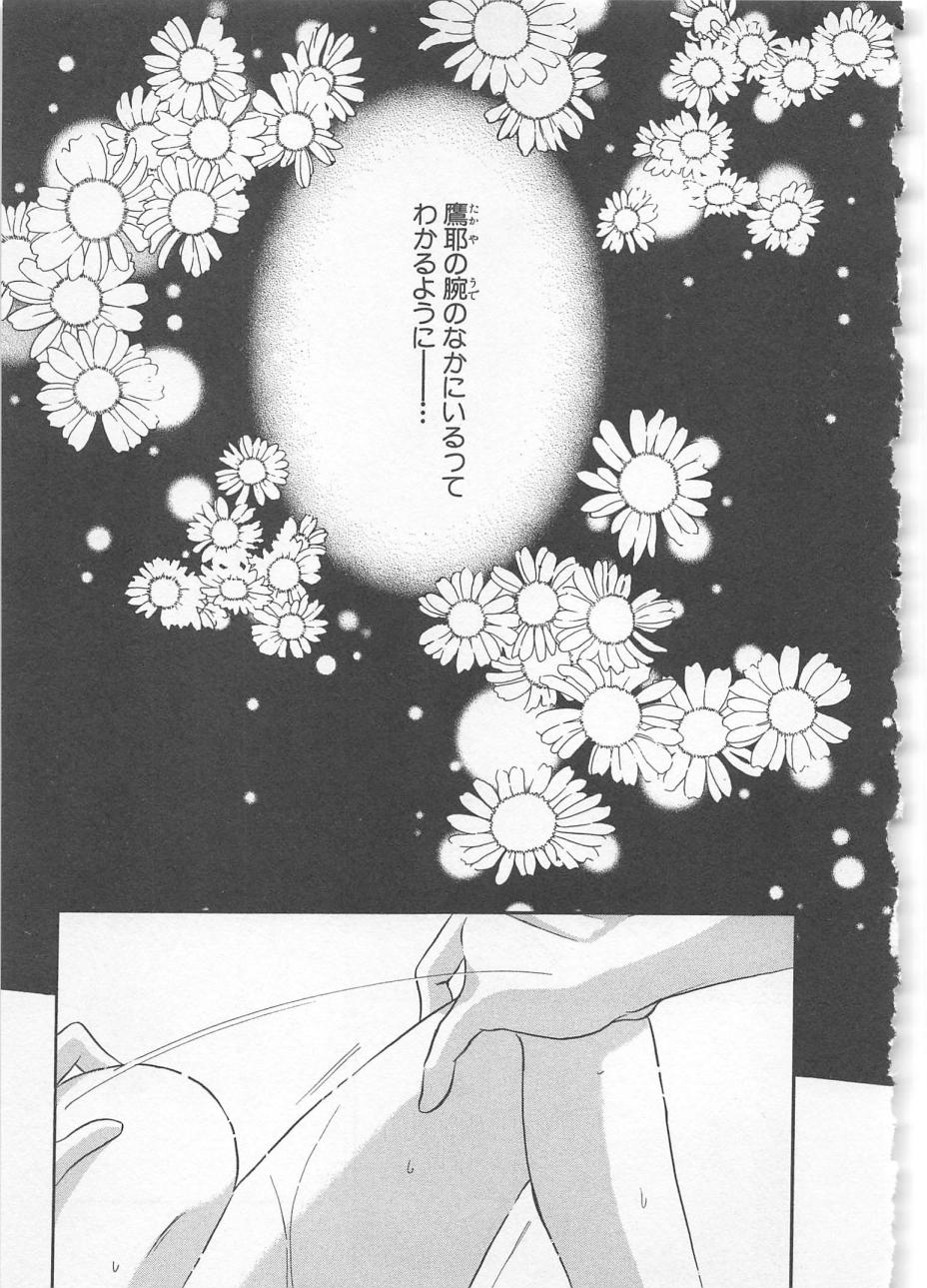 Download Naisho no Cute Boy